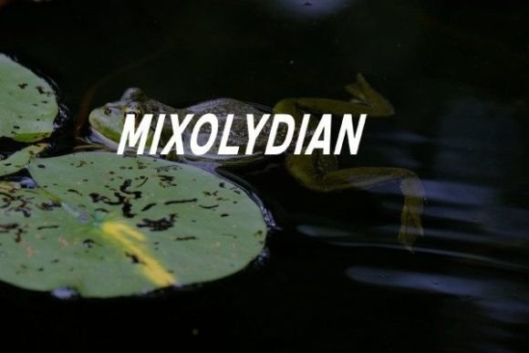 Finding an Editorial Rhythm with Mixolydian Typeface